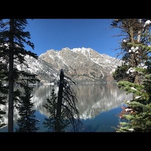 Meet your Posher, Alexis